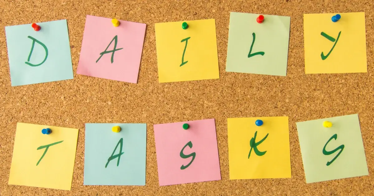 Daily Tasks Shared Living NDIS board